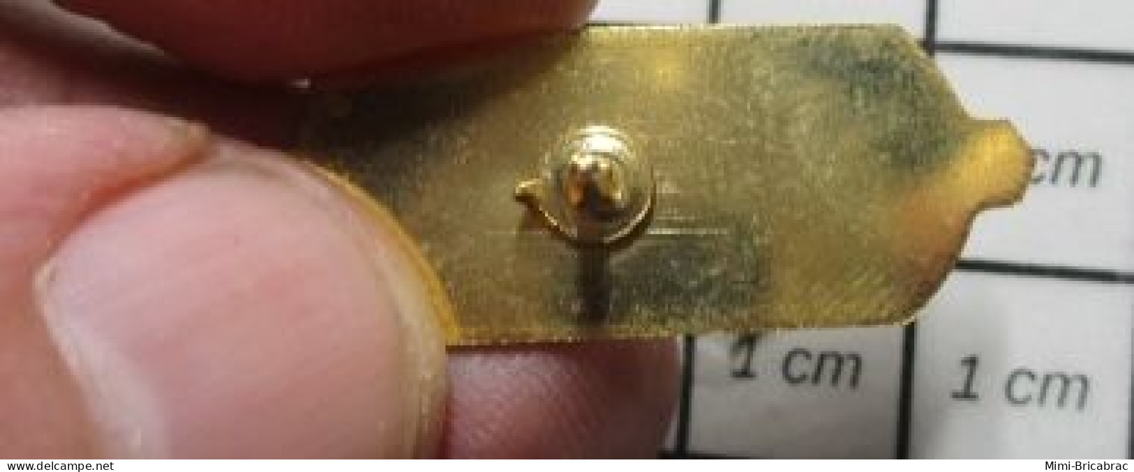 1615B Pin's Pins / Beau Et Rare / MARQUES / EVULCA ROULEAU DE ??? - Trademarks