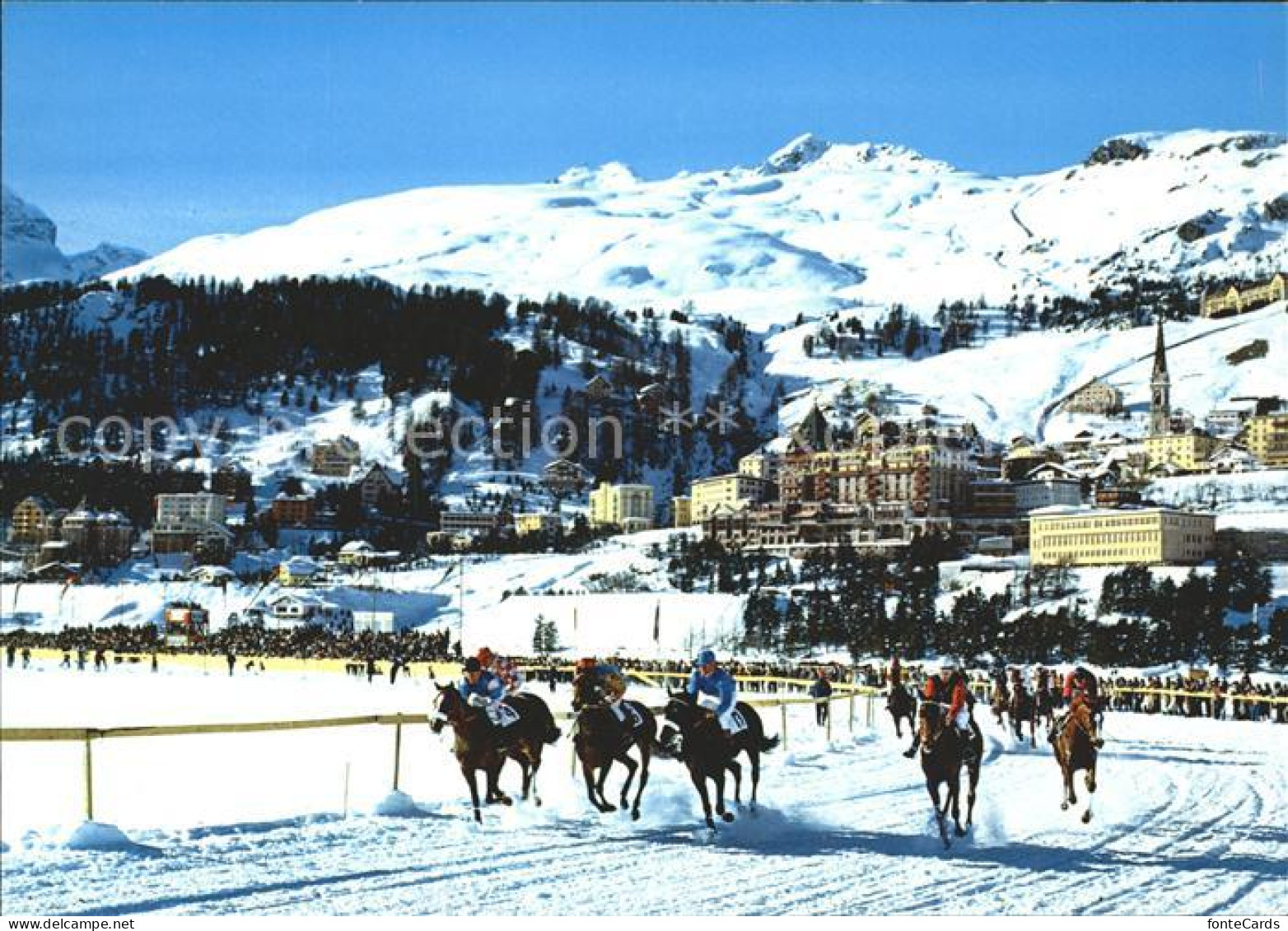 11703888 St Moritz GR Pferderennen Im Schnee St. Moritz - Andere & Zonder Classificatie