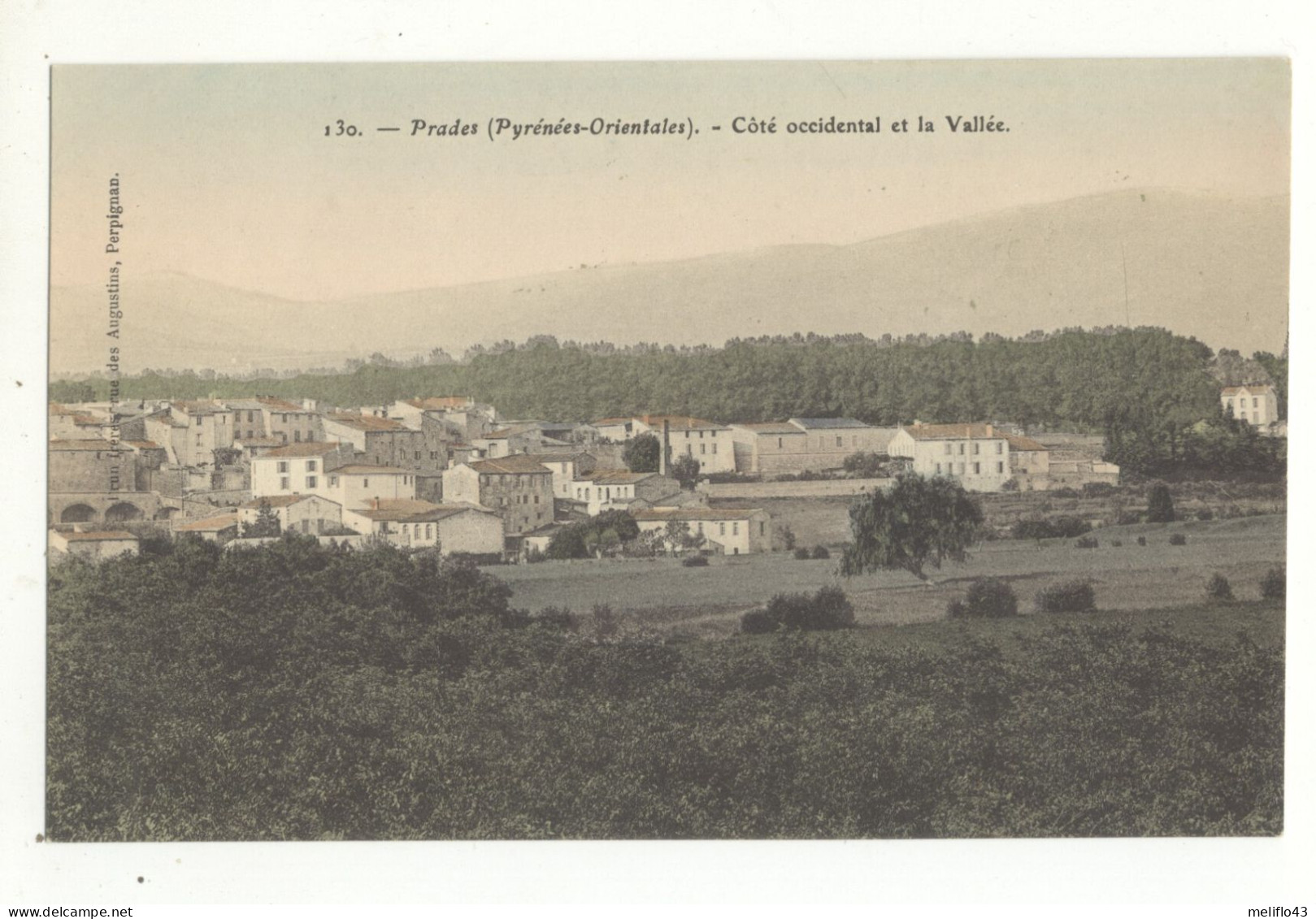 66/CPA - Prades - Coté Occidental Et La Vallée - Prades