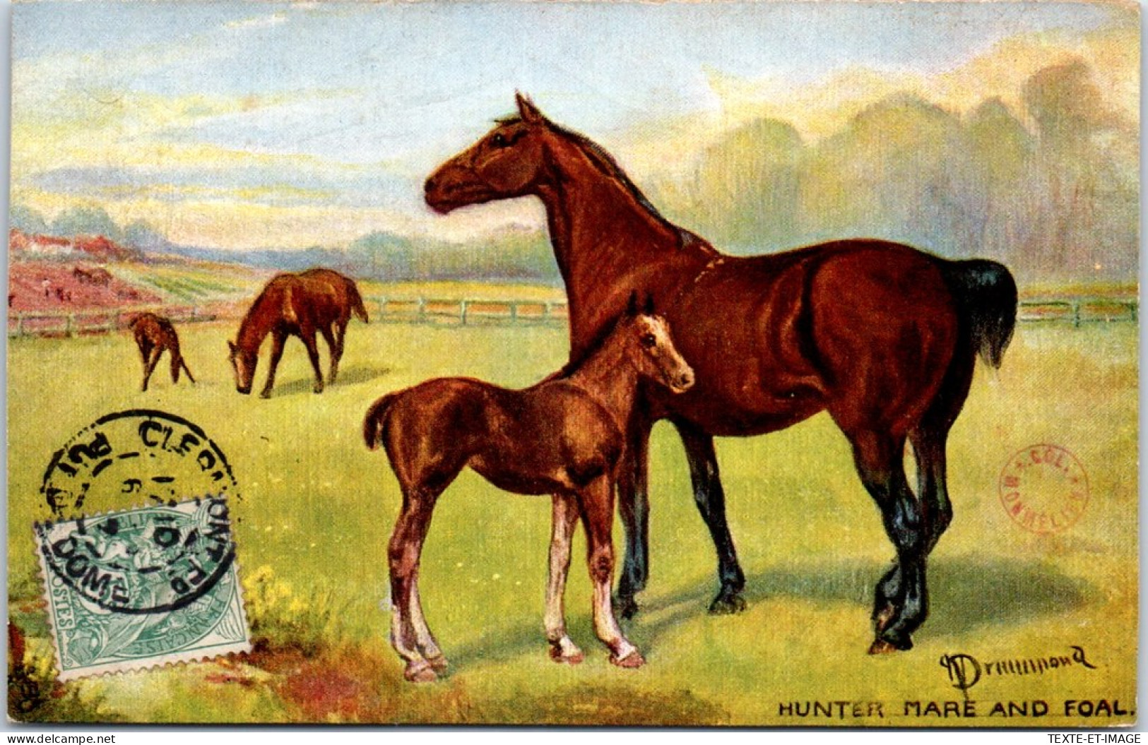 ANIMAUX - CHEVAUX - Hunter Mare And Foal  - Paarden