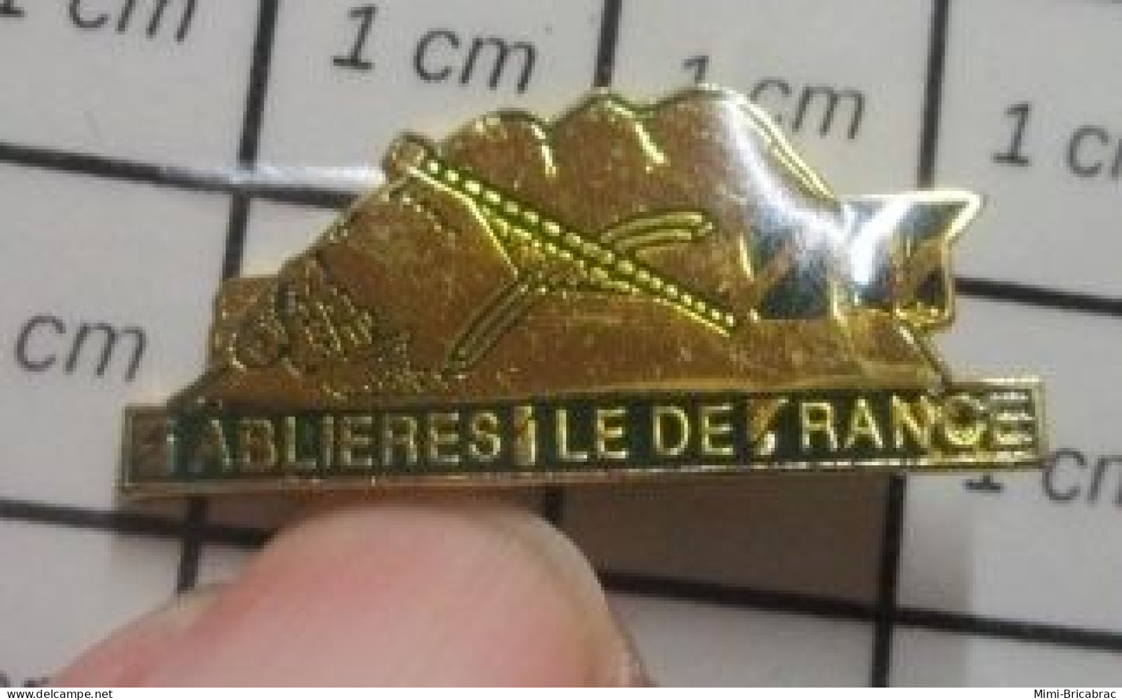 1518B Pin's Pins / Beau Et Rare / MARQUES / CARRIERE SABLIERES DE L'ILE DE FRANCE - Trademarks
