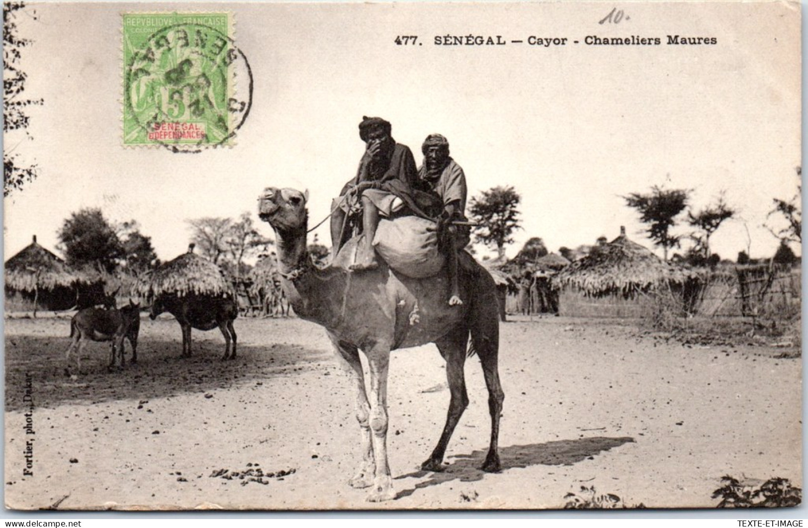 SENEGAL - CAYOR - Type De Chameliers Maures. - Sénégal
