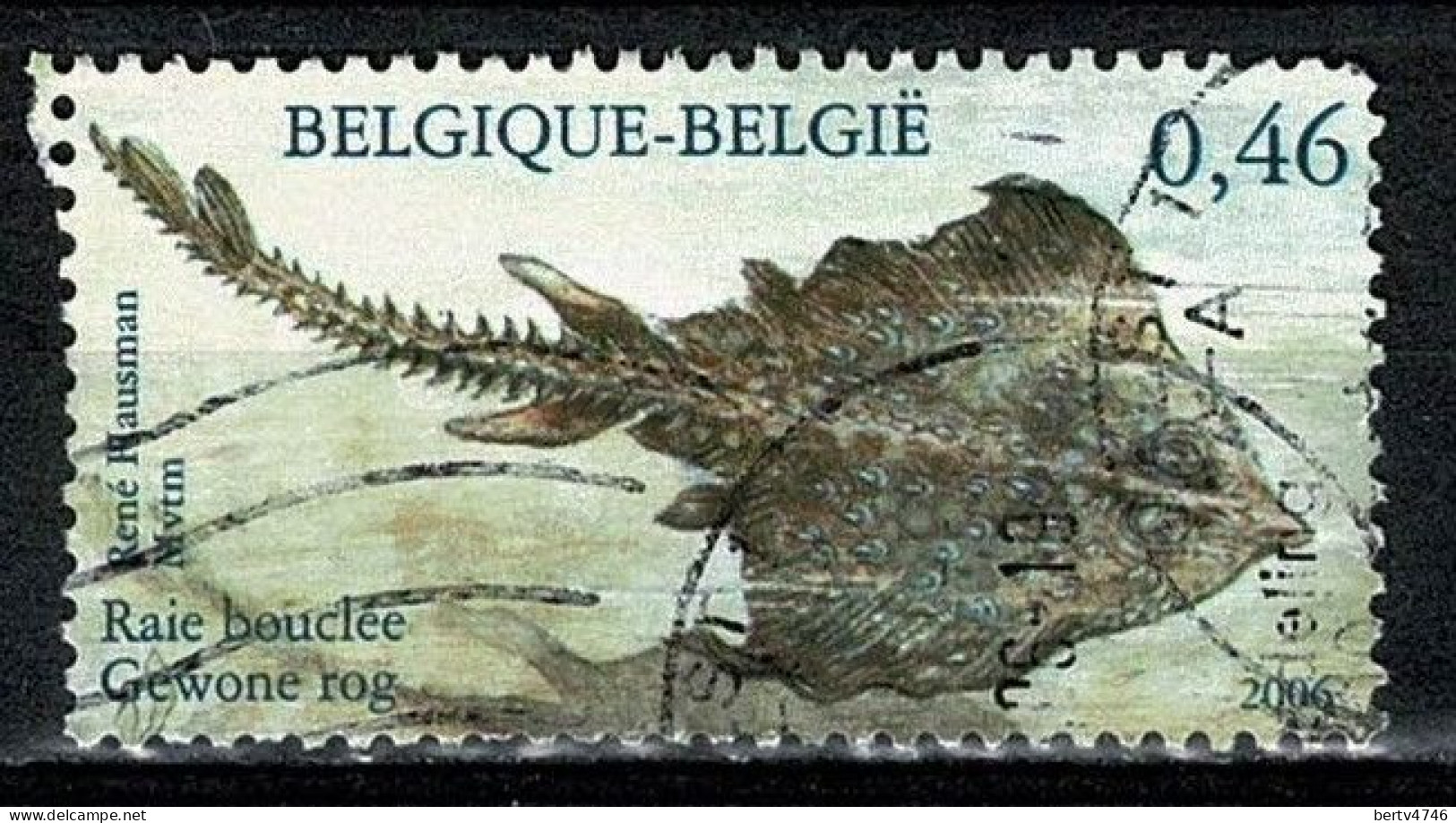 Belg. 2006 - 3535, Yv 3521, Mi 3583 Noordzeevissen / Poissons De La Mer Du Nord - Gebraucht