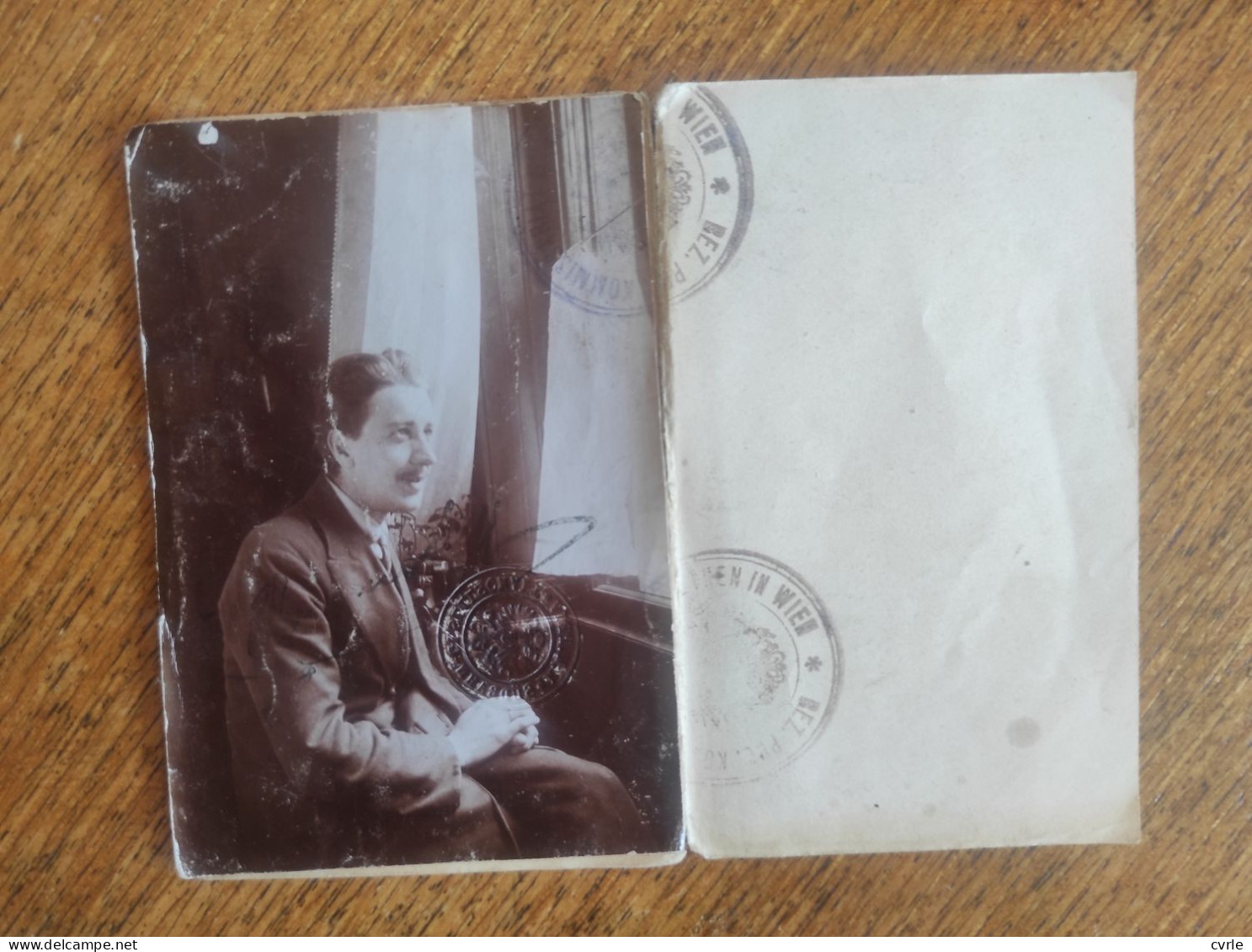 Police ID ,Vienna 1920 - Storia Postale