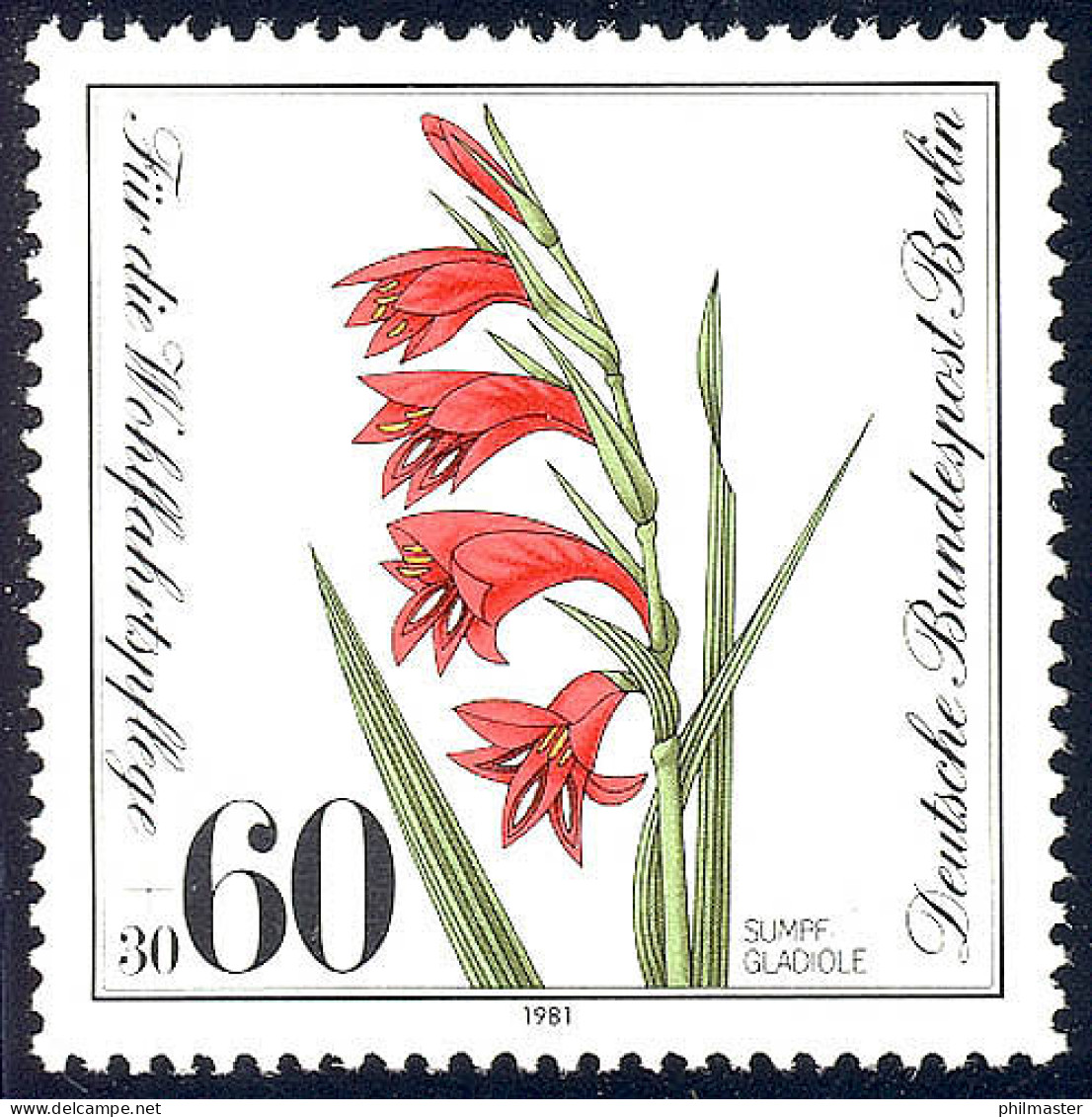 652 Pflanzen 60+30 Pf Sumpfgladiole ** - Nuovi