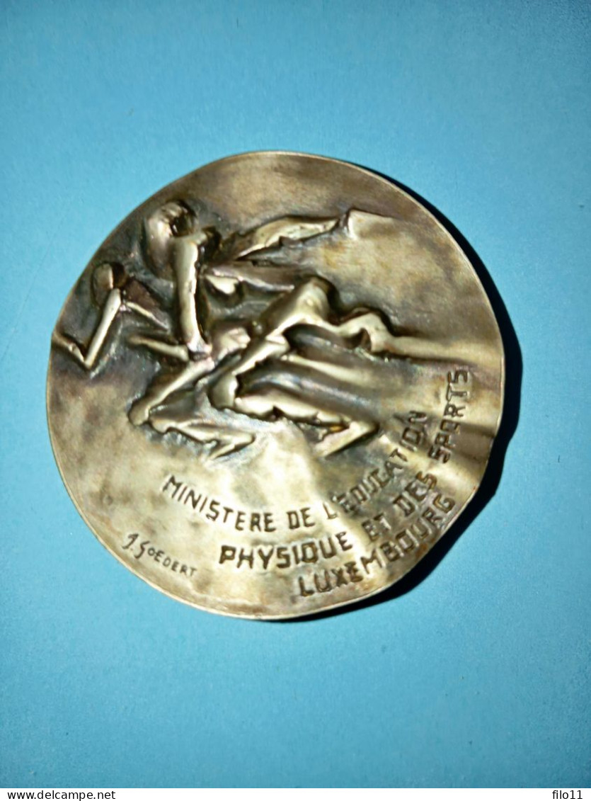 Luxembourg,Médaille Champion 1973 ESCRIME DOERFEL. - Andere & Zonder Classificatie