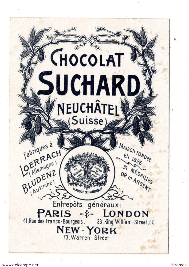 Chromo Chocolat Suchard S 80 / 8, Serie Animaux Préhistorique, Dinosaure, "crocodile" - Suchard