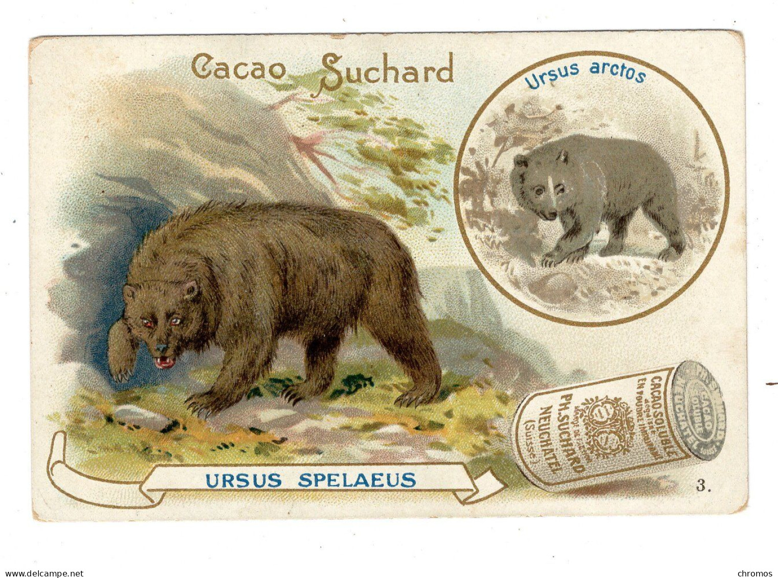 Chromo Chocolat Suchard S 80 / 3, Serie Animaux Préhistorique, Ours - Suchard