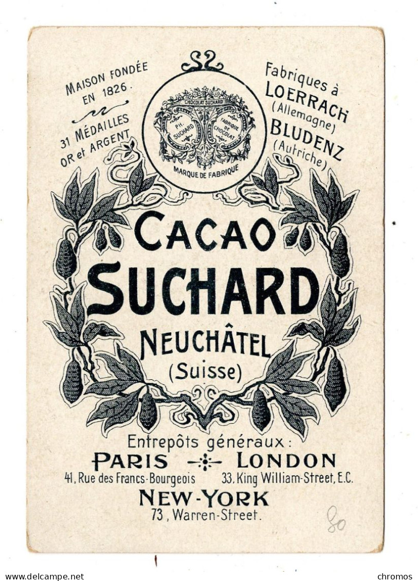 Chromo Chocolat Suchard S 80 / 3, Serie Animaux Préhistorique, Ours - Suchard