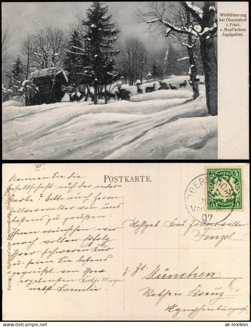 Oberstdorf (Allgäu) Wildfütterung I. Frhrl. V. Heyl'schem Jagdgebiet. 1907 - Oberstdorf