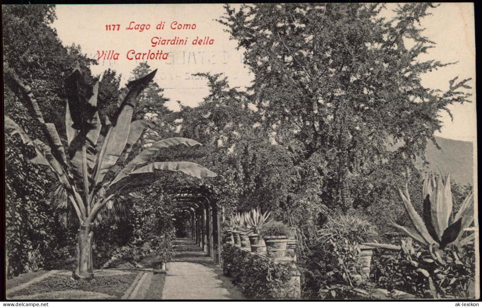 Cartoline Como Lago Di Como Giardini Della Villa Carlotta 1909 - Other & Unclassified