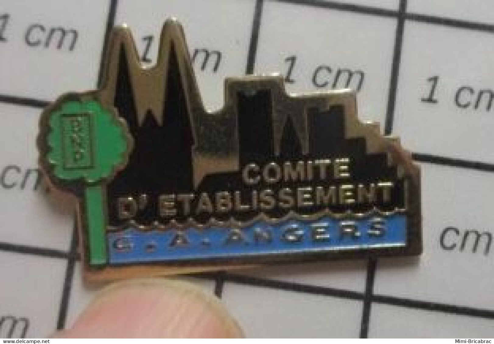 710c  Pin's Pins / Beau Et Rare / BANQUES / BNP ANGERS COMITE D'ETABLISSEMENT - Banche