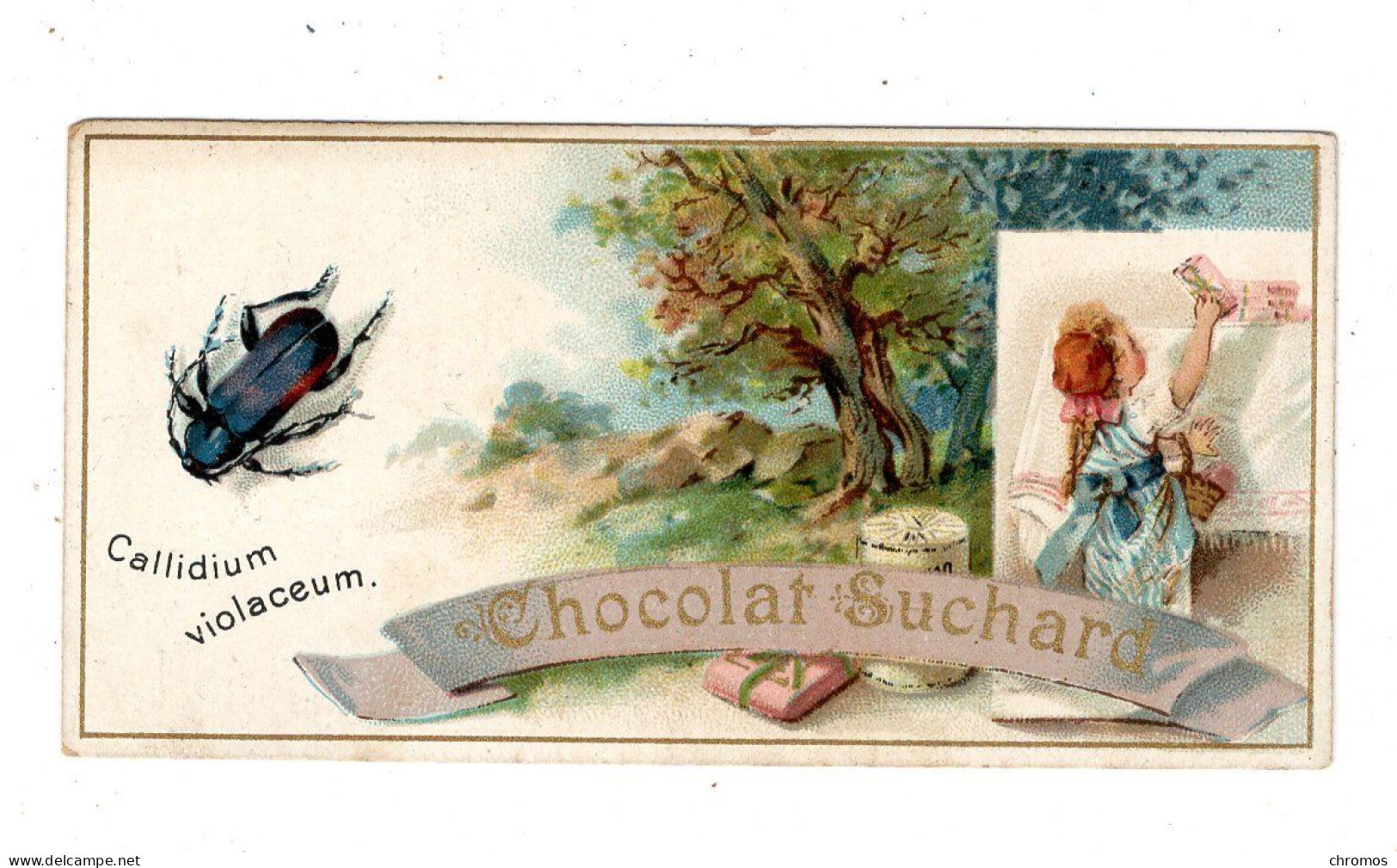 Chromo Chocolat Suchard S 63 / C, Serie Coléoptères, Scarabées, Käfer - Suchard