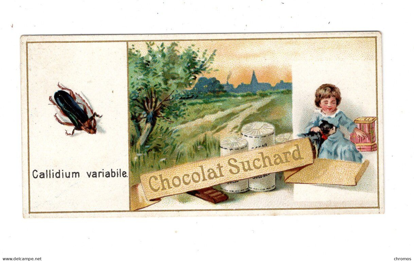 Chromo Chocolat Suchard S 63 / B, Serie Coléoptères, Scarabées, Käfer - Suchard