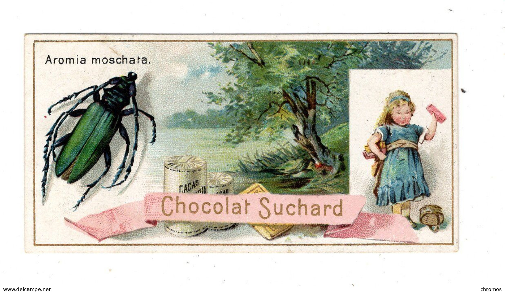 Chromo Chocolat Suchard S 63 / A, Serie Coléoptères, Scarabées, Käfer - Suchard