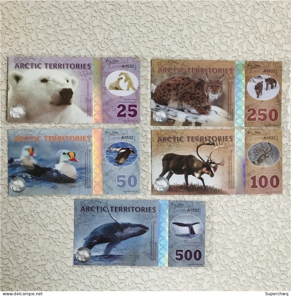 China Banknote Collection，Polar Bear Commemorative Fluorescent Note，5 Pcs - China
