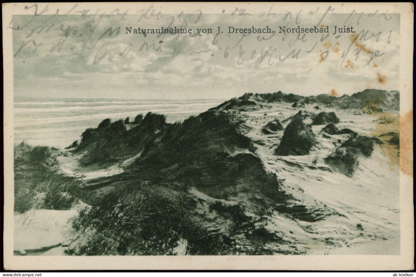 Ansichtskarte Juist Naturaufnahme Von J. Dreesbach, Nordseebad Strand 1934 - Juist