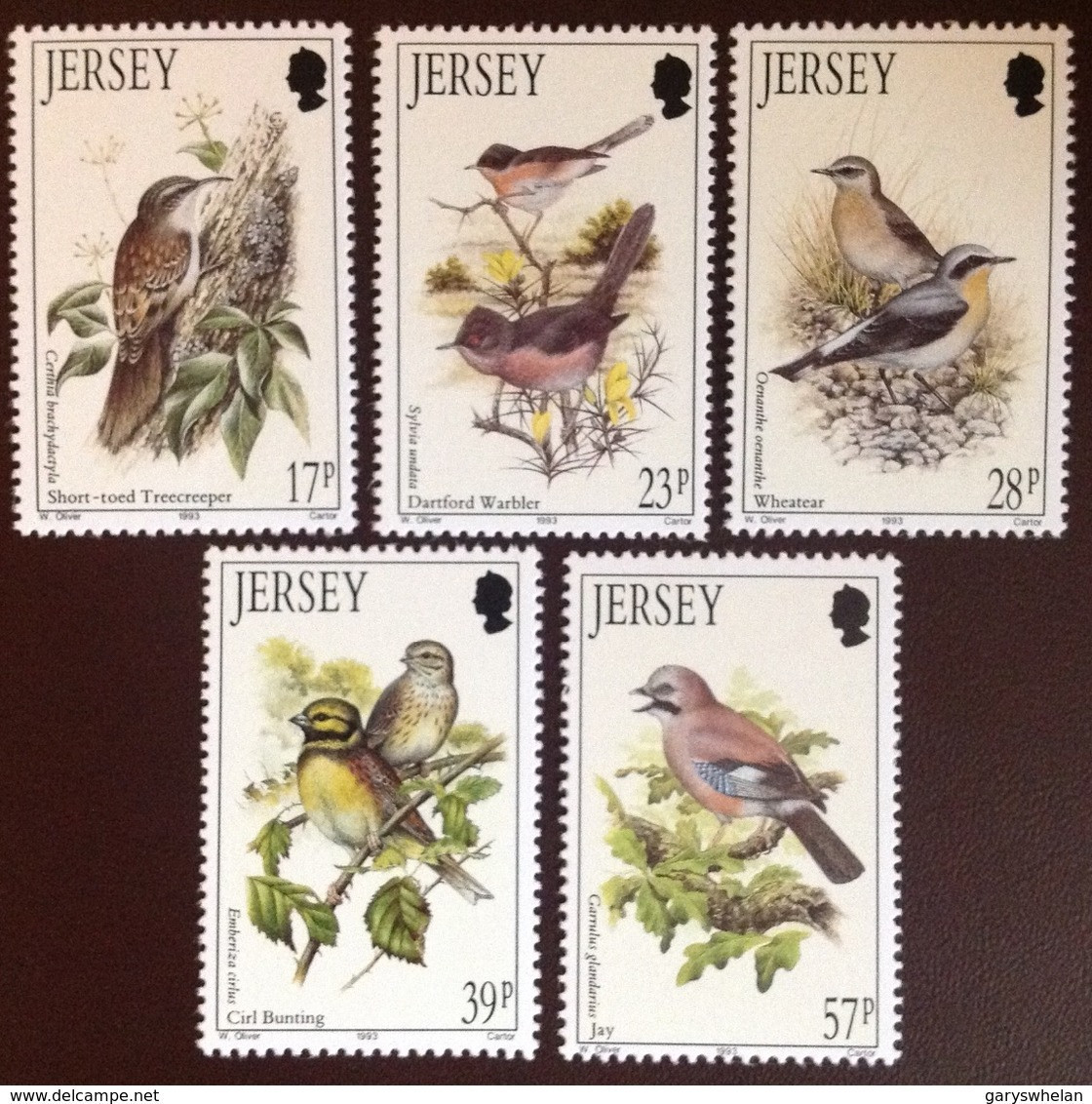 Jersey 1993 Birds MNH - Autres & Non Classés