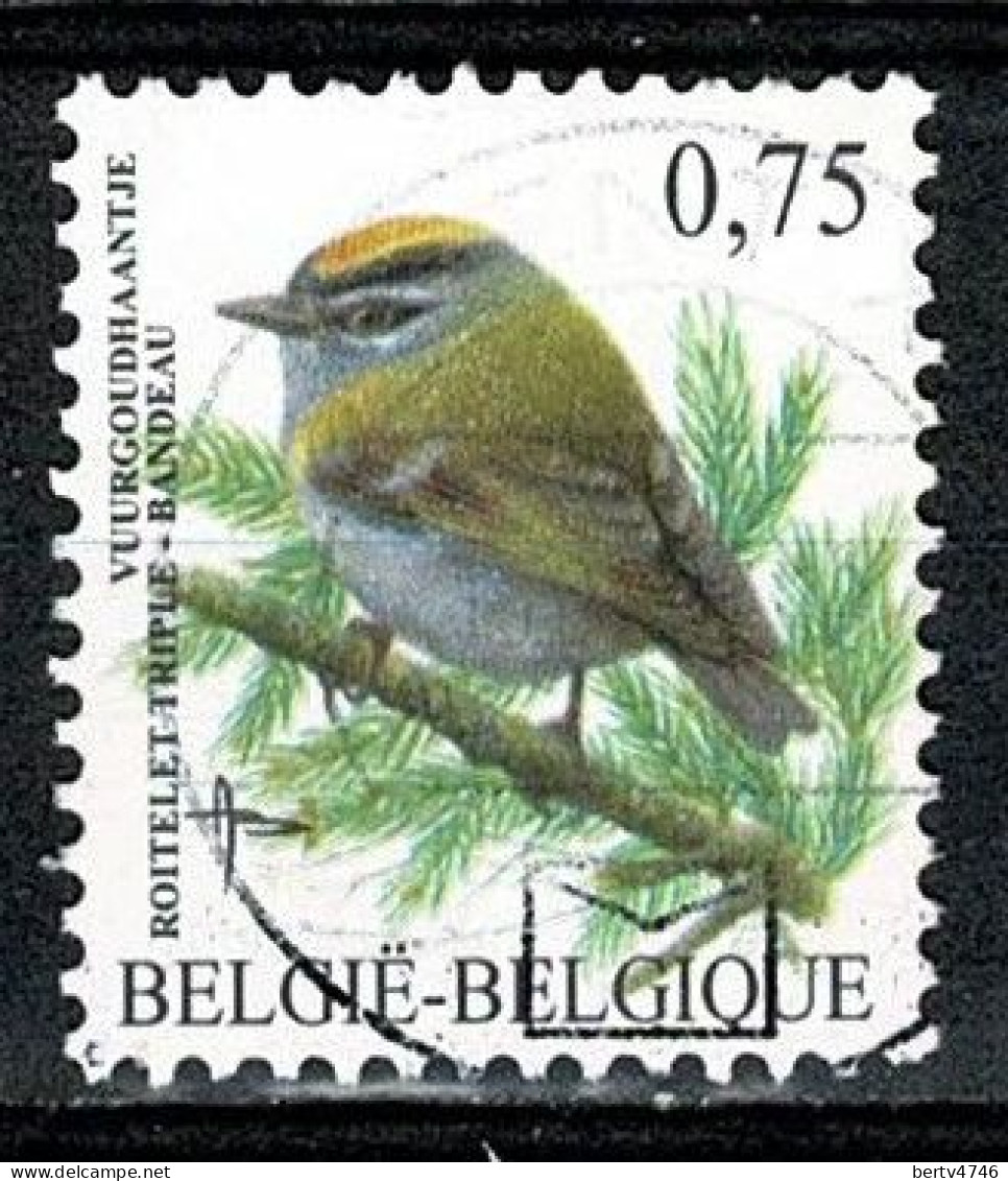 Belg. 2006 - 3391, Yv 3376 - Usati