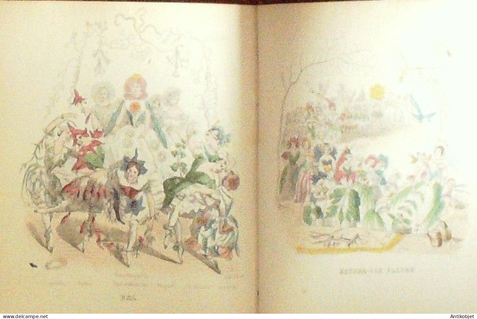 Grandville Jean-Jacques Les Fleurs Animées 56 Planches 1851 - Humor