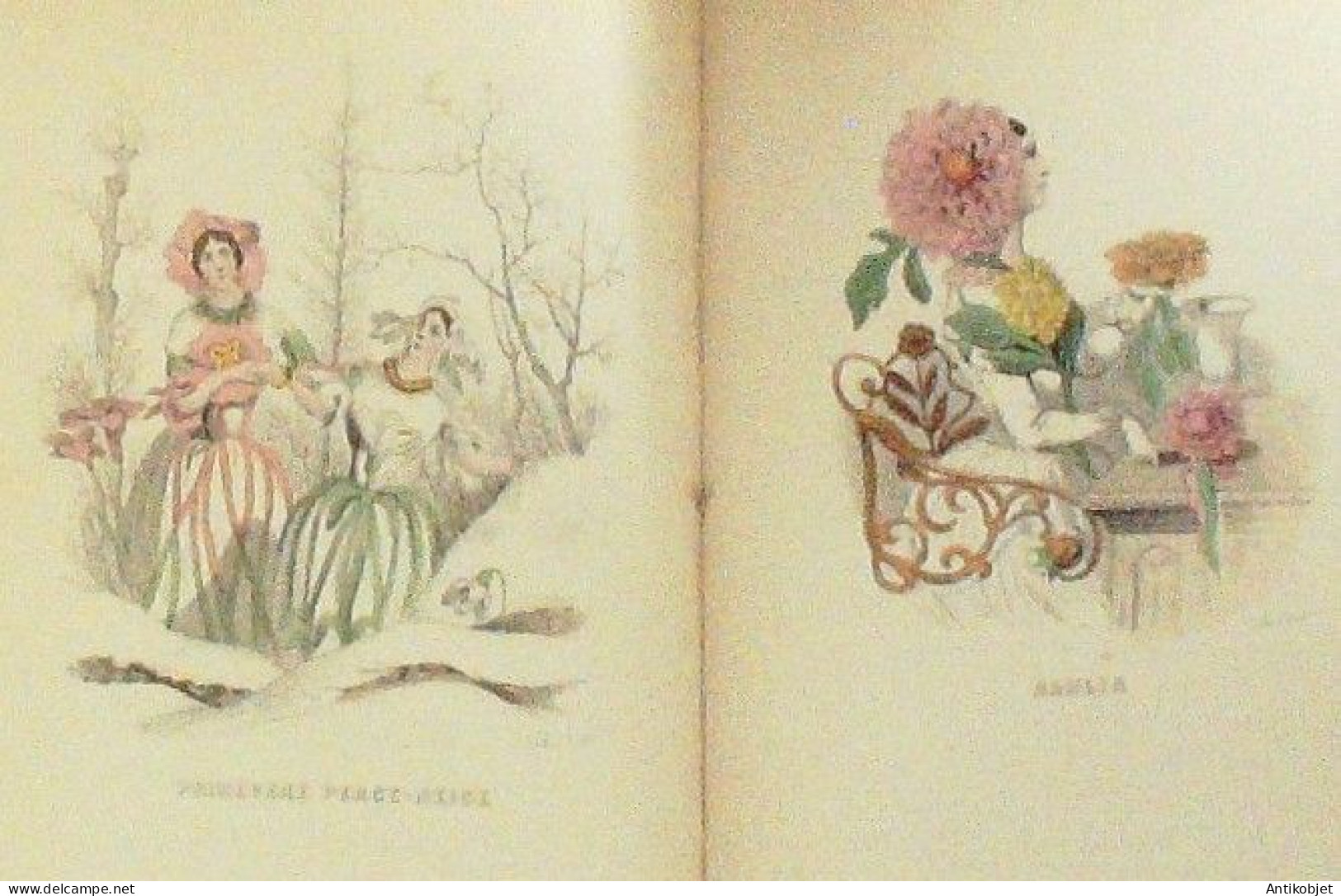 Grandville Jean-Jacques Les Fleurs Animées 56 Planches 1851 - Humor