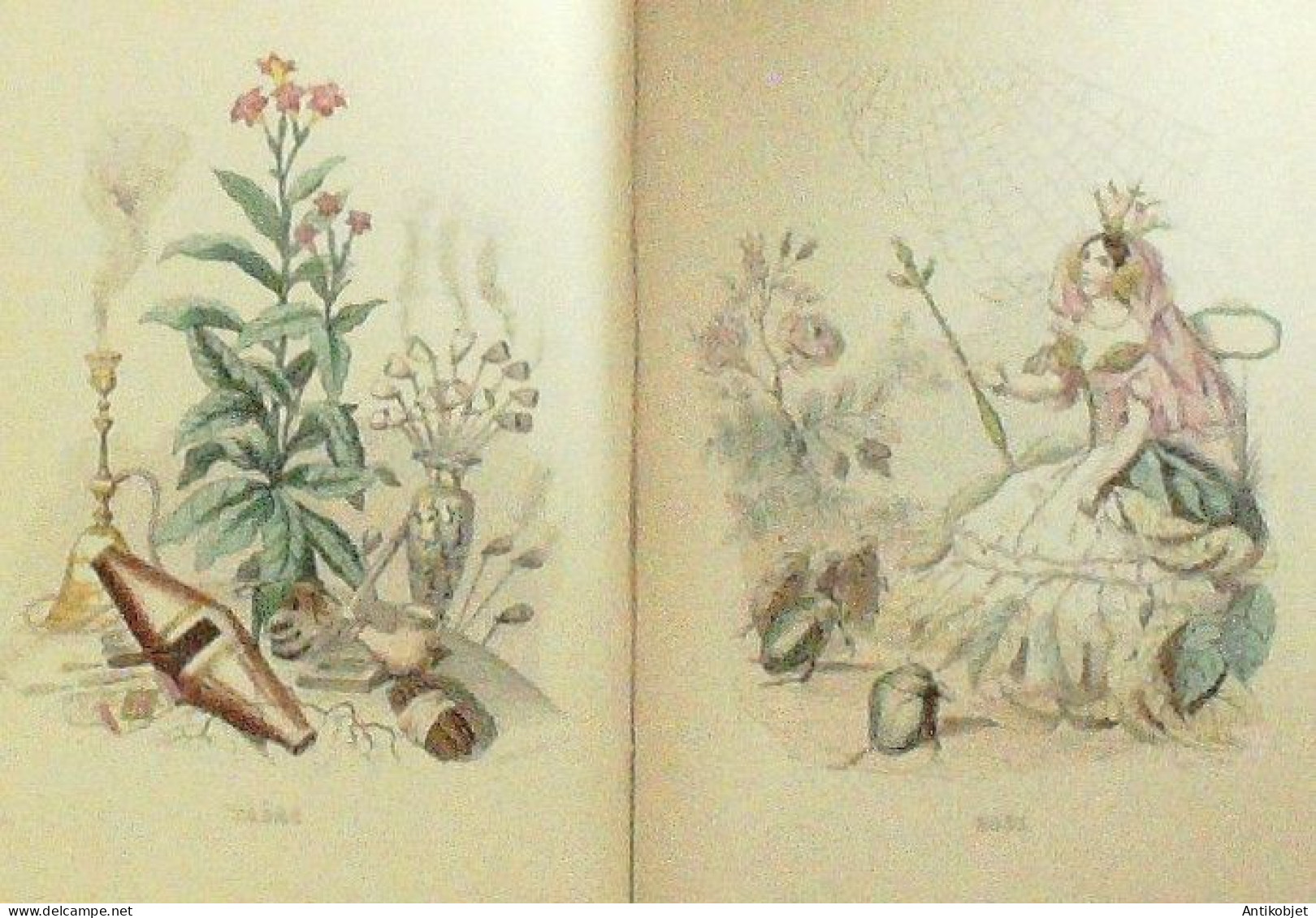 Grandville Jean-Jacques les fleurs animées 56 planches 1851