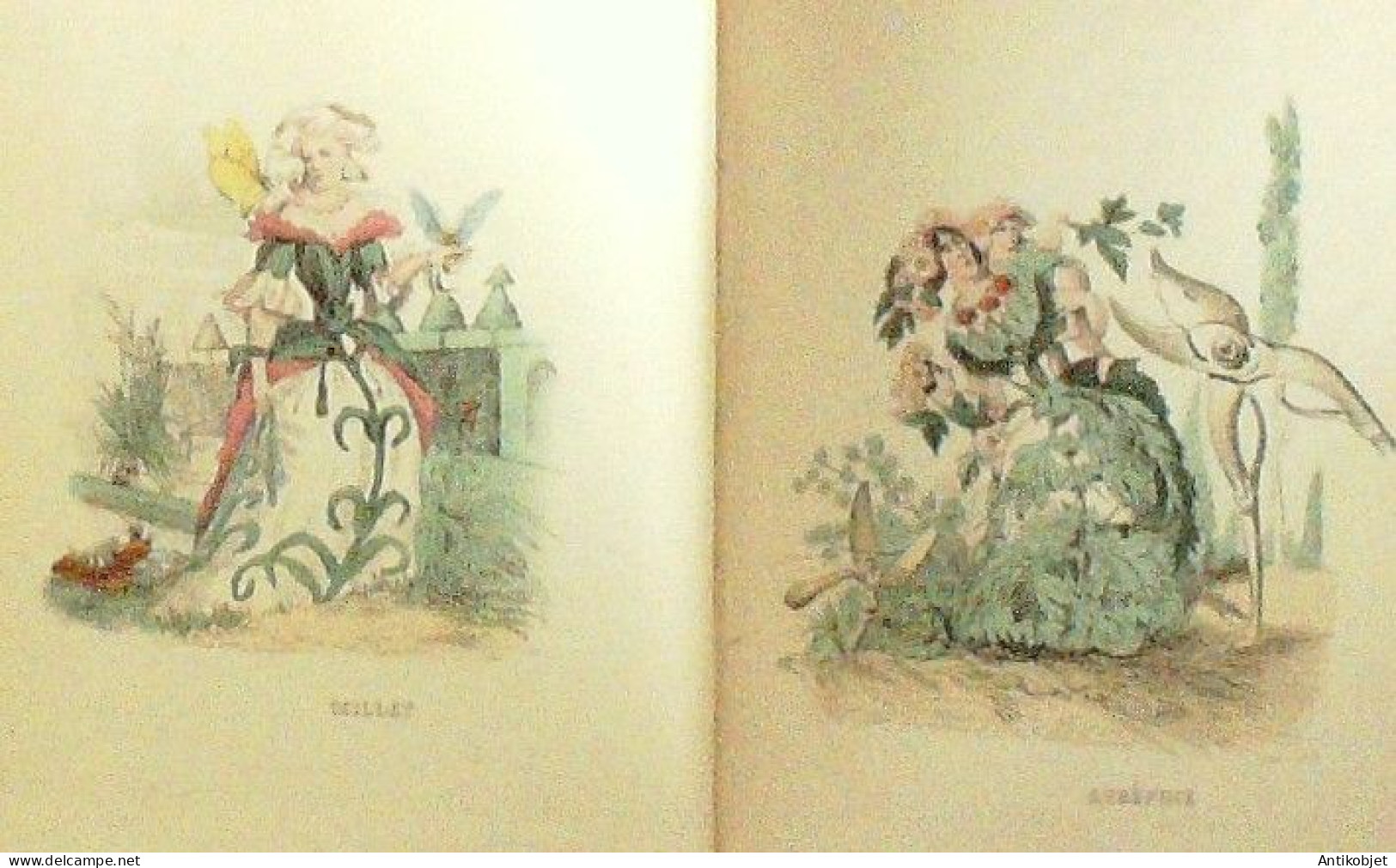 Grandville Jean-Jacques les fleurs animées 56 planches 1851
