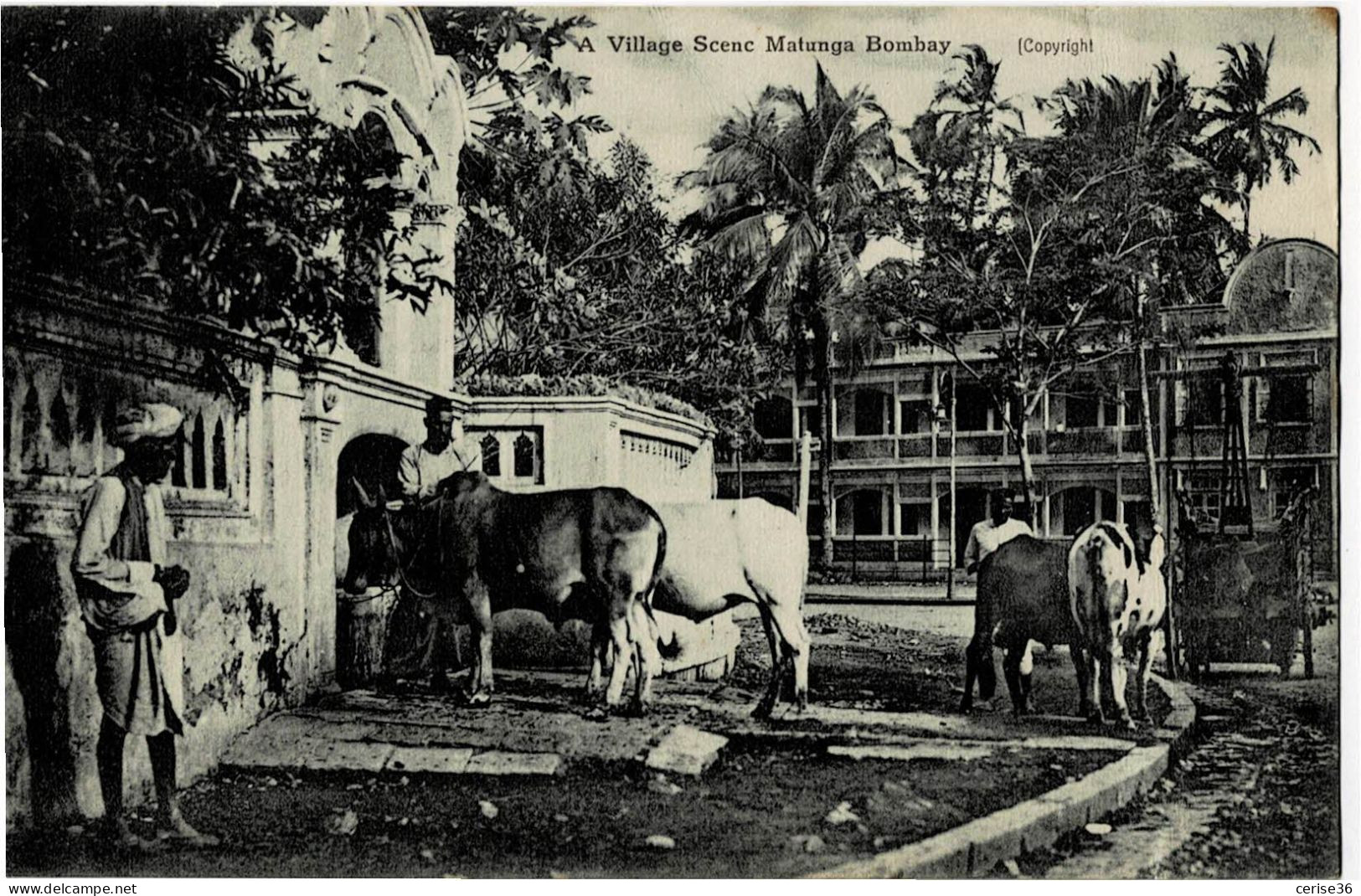A Village Scenc Matunga Bombay  Circulée En 1924 - India