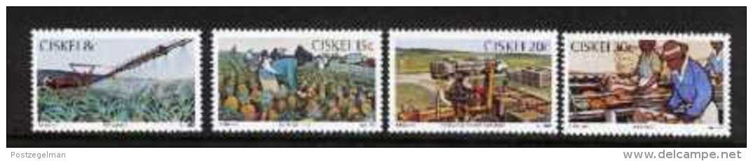 CISKEI, 1982, MNH Stamp(s), Pineapple Industry,  Nr(s). 26-29 - Ciskei