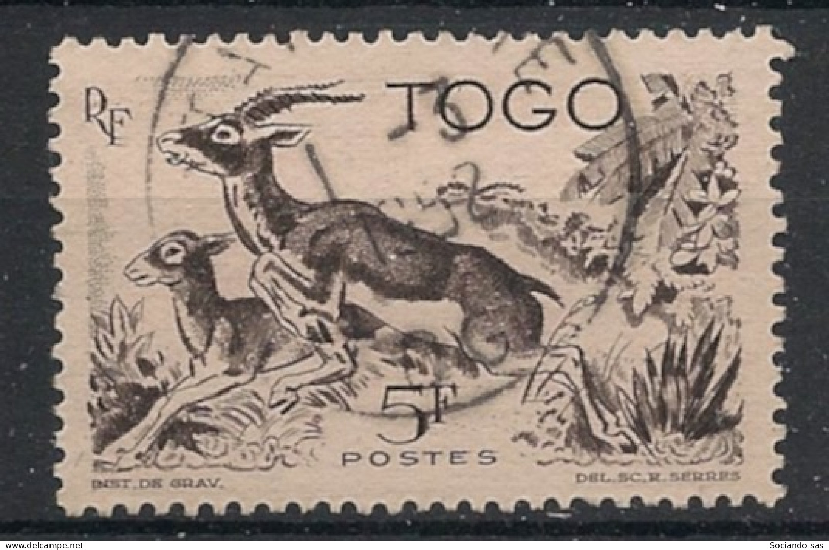 TOGO - 1947 - N°YT. 248 - Gazelle 5f Noir - Oblitéré / Used - Used Stamps