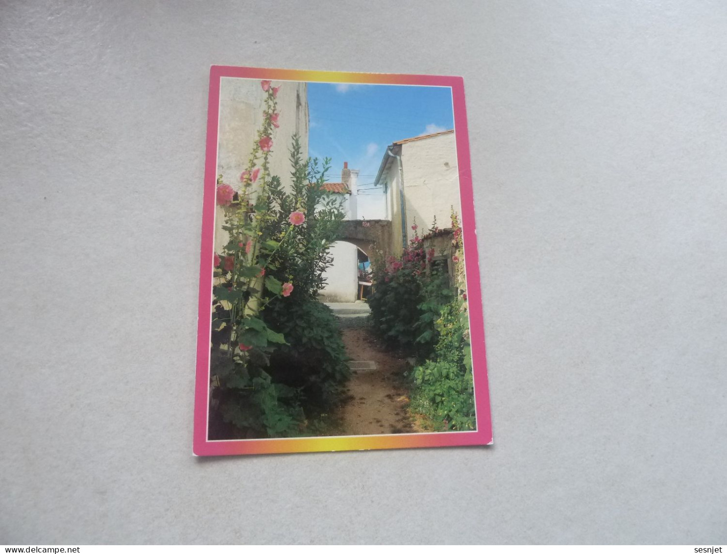 L'Ile-de-Ré - Les Portes - Venelle En Fleurs - R 153 - Editions As-de-Coeur - Artaud Frères - Année 1990 - - Blumen
