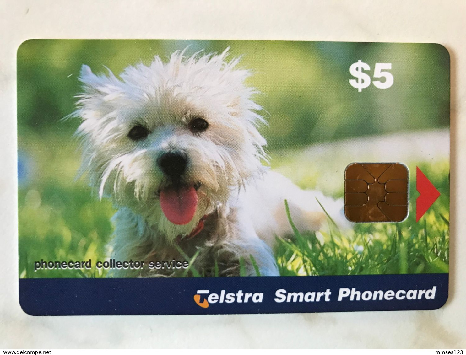 CHIP   CARD AUSTRALIA   TELSTRA   DOG   TERRIER   MINT - Australie