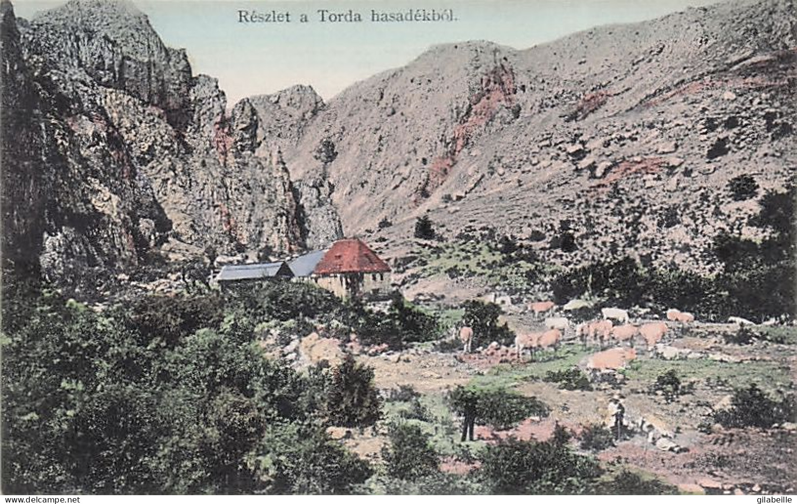 TURDA - TORDA  - Reszlet A Torda Hasadekbol - Roumanie