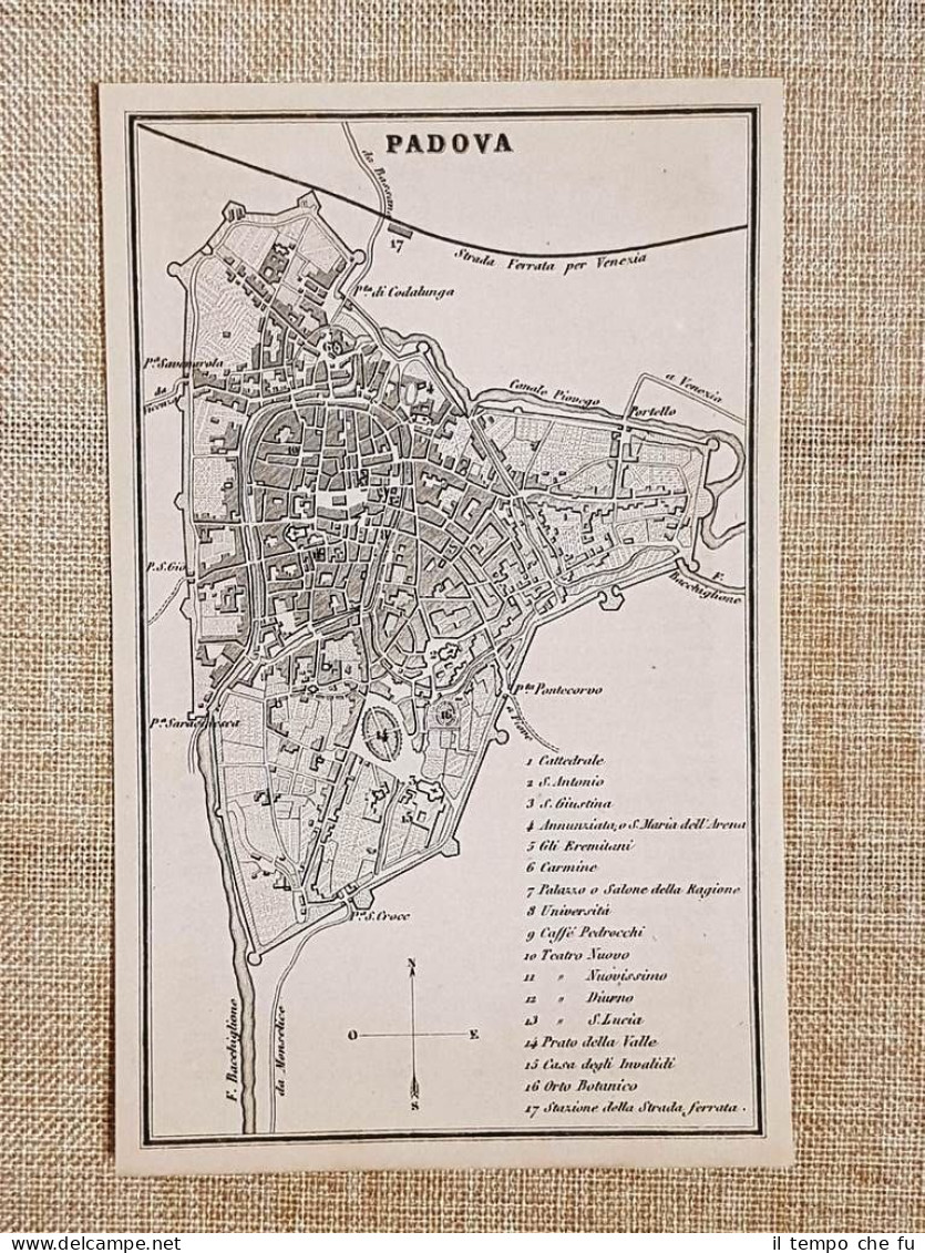 Rara Pianta Topografica Di Padova Anno 1873 Artaria Di Ferdinando Sacchi E Figli - Cartes Géographiques