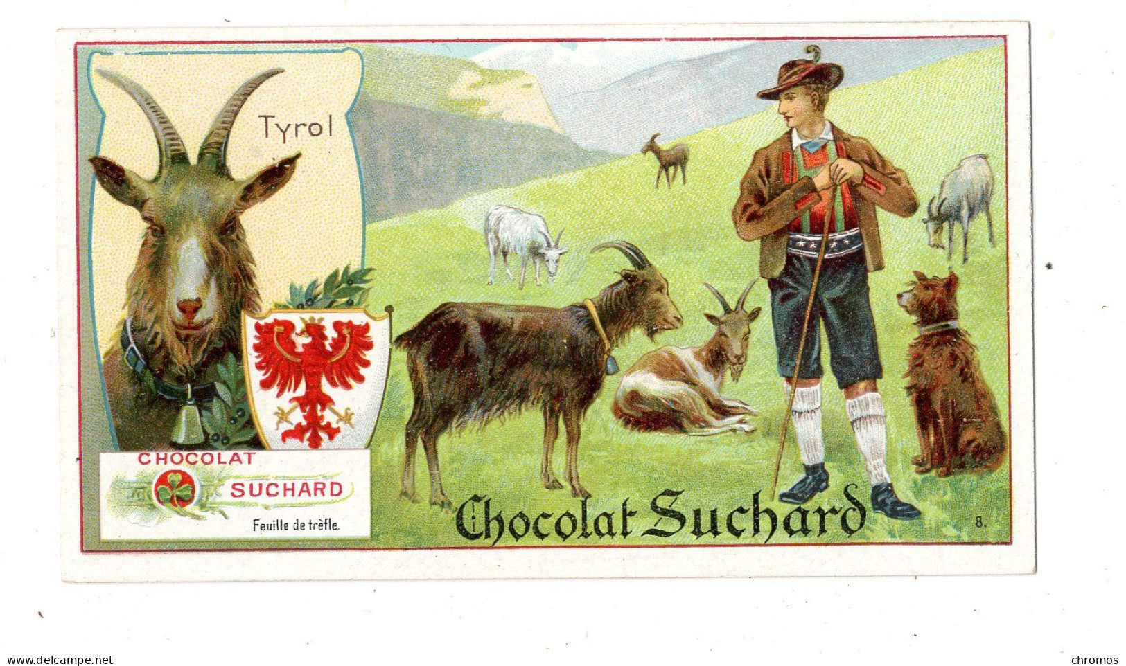 Chromo Chocolat Suchard S 161 / 8, Chèvre, Tirol, Serie Animaux En Différents Pays - Suchard