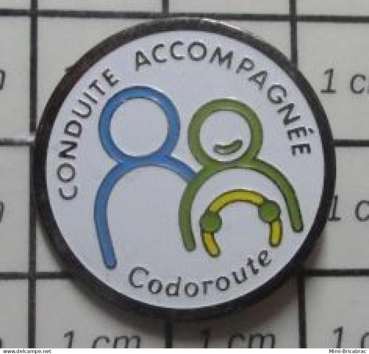 617 Pin's Pins / Beau Et Rare / THEME : AUTOMOBILES / CONDUITE ACCOMPAGNEE CODOROUTE - Other & Unclassified