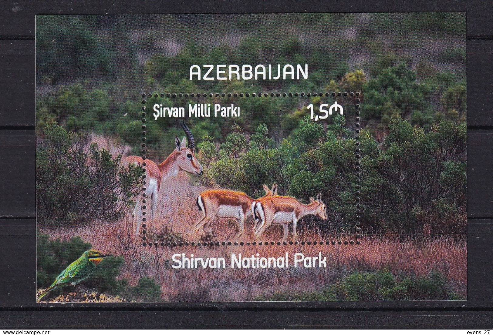 AZERBAIJAN-2022-SHIRVAN NATIONAL PARK- DEERS-MNH. - Aserbaidschan