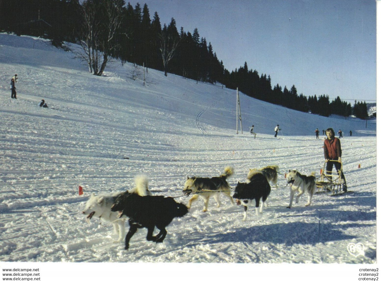 39 Environs DES ROUSSES Morez PREMANON Les Jouvencelles Course De Chiens De Traineau VOIR DOS - Morez