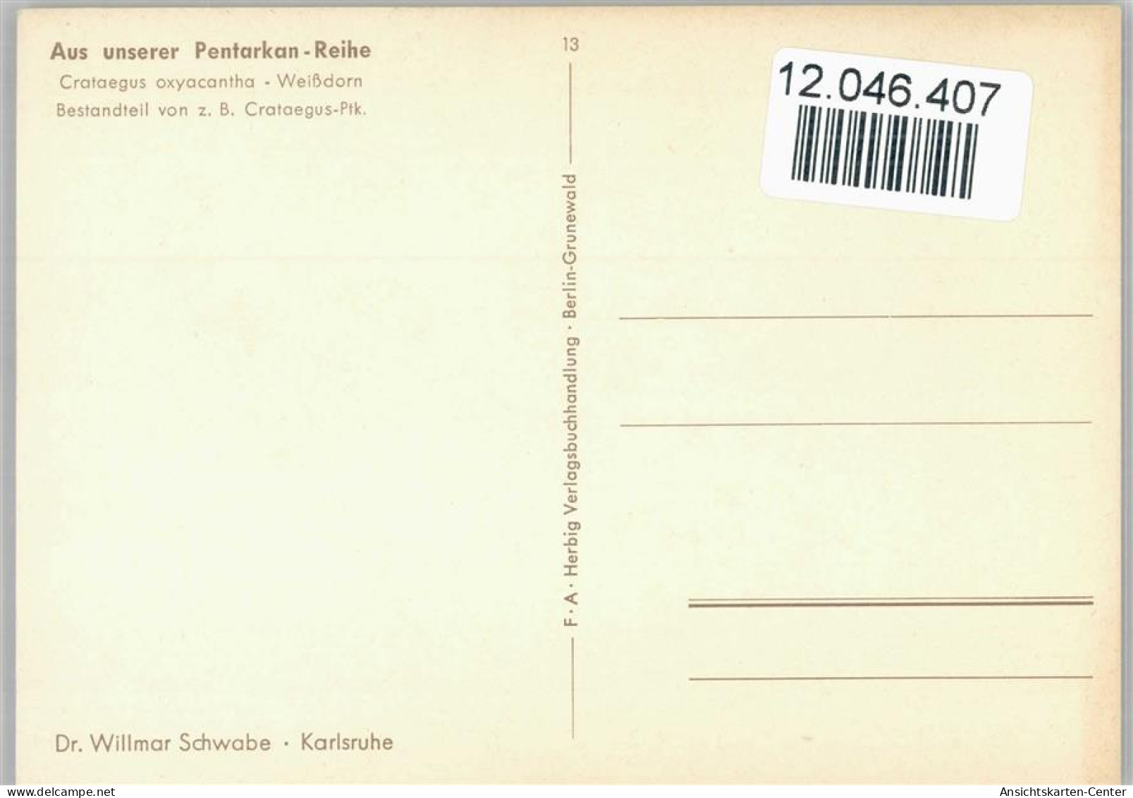 12046407 - Heilkraeuter / Kraeuter Sign Felsko Nr. 13 - - Salud