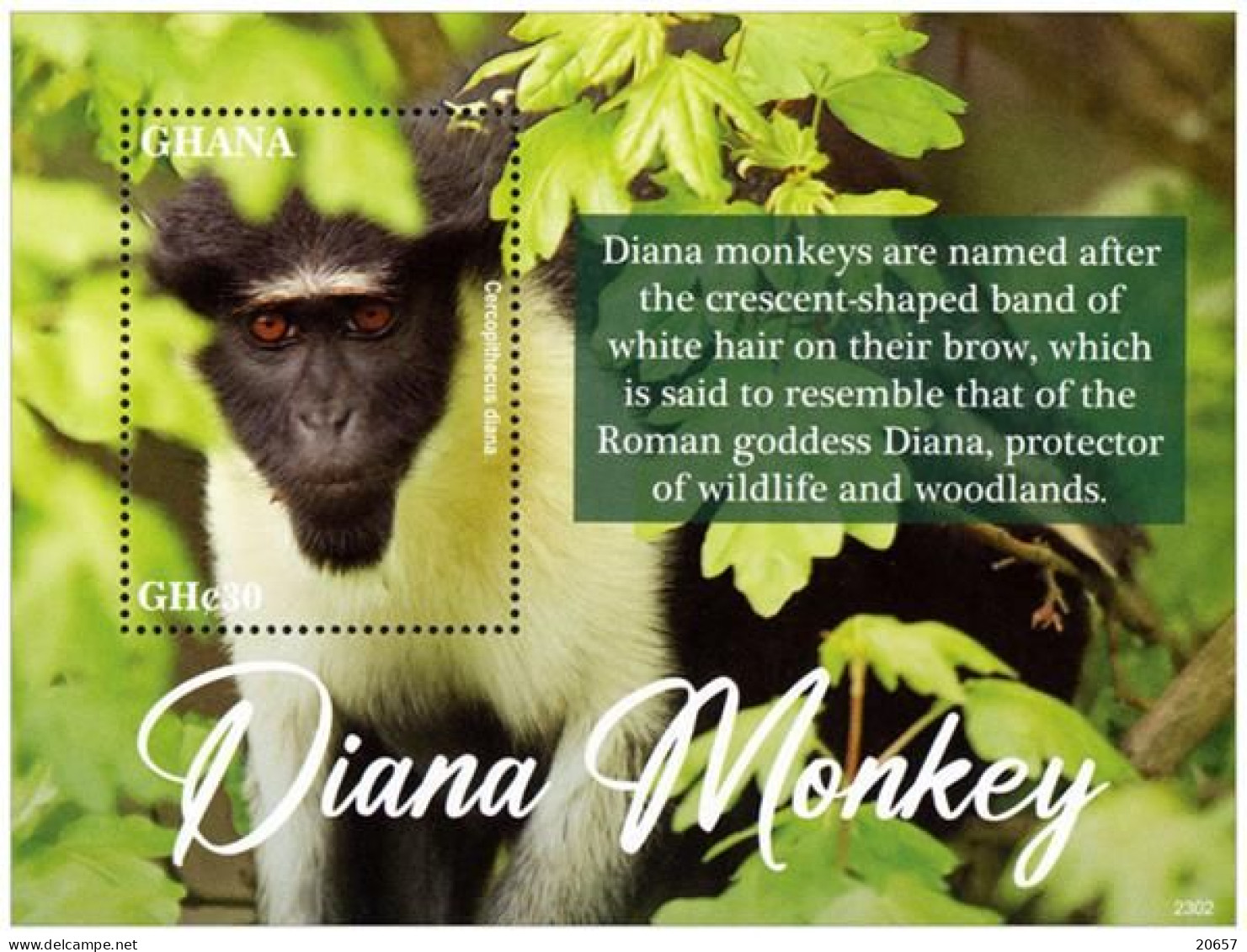 Ghana 3896/901 Et Bf 591 Singes Diana - Singes