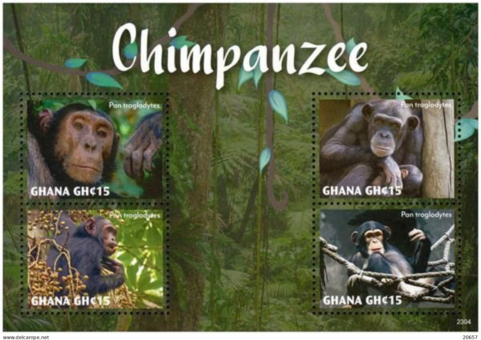 Ghana 3906/09 Et Bf 593 Singes Chimpanzés - Singes