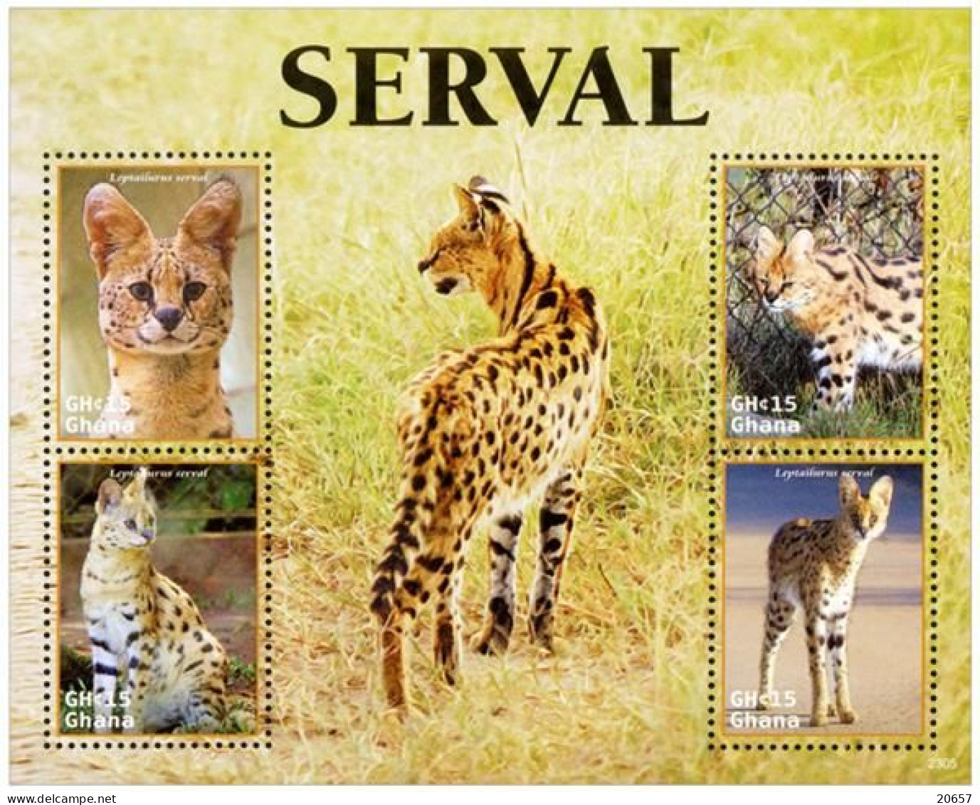 Ghana 3910/13 Et Bf 594 Serval - Big Cats (cats Of Prey)