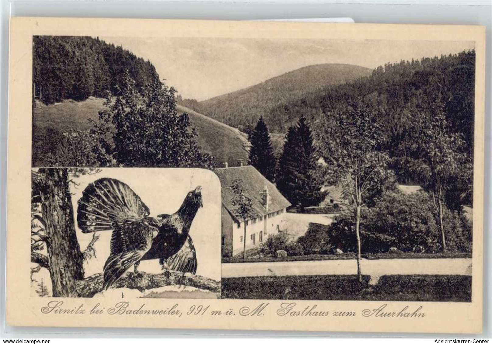 51046607 - Badenweiler - Badenweiler