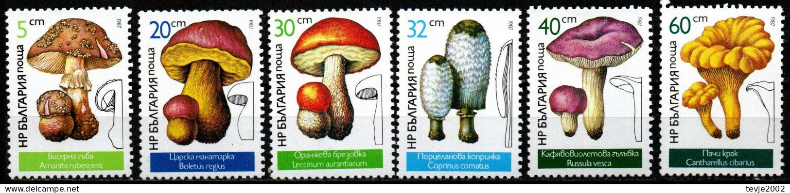 Bulgarien 1987 - Mi.Nr. 3546 - 3551 - Postfrisch MNH - Pilze Mushrooms - Paddestoelen