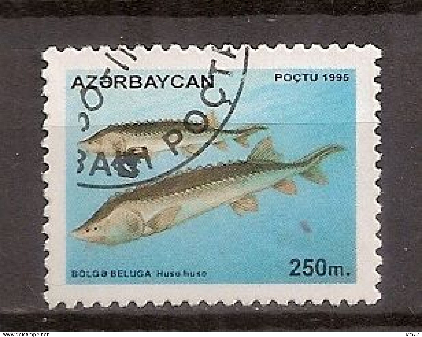 AZERBAIDJAN OBLITERE - Aserbaidschan