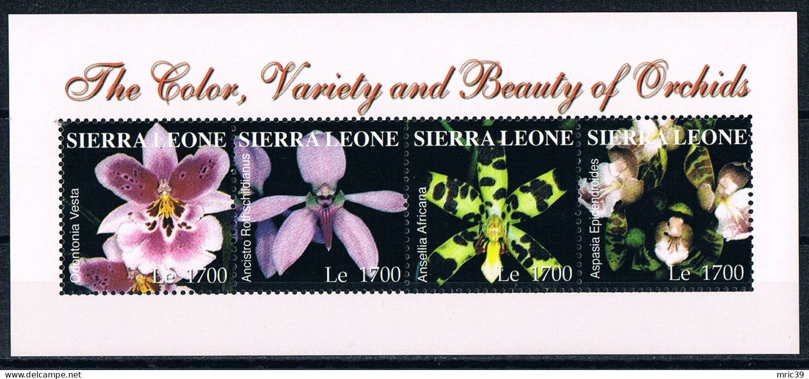 Bloc Sheet  Fleurs Orchidées Flowers Orchids  Neuf  MNH **    Sierra Leone 2004 - Orchidées