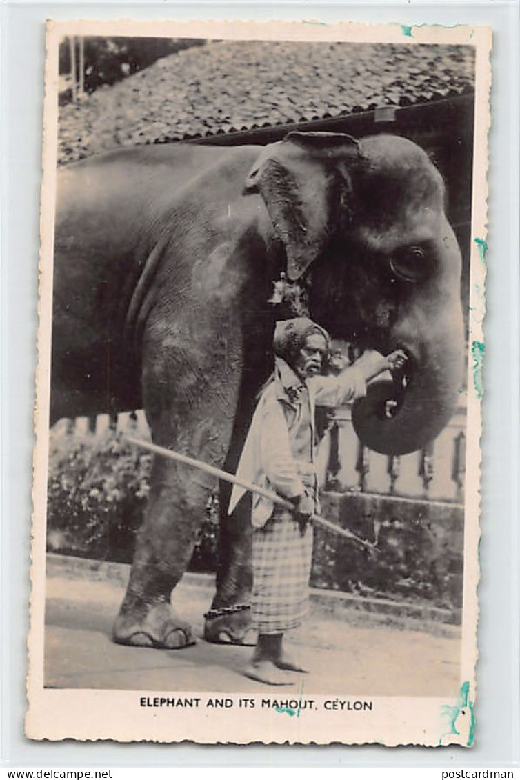 Sri Lanka - Elephant And Its Mahout - REAL PHOTO - Publ. The Amateur Photographic Co. 41 - Sri Lanka (Ceylon)