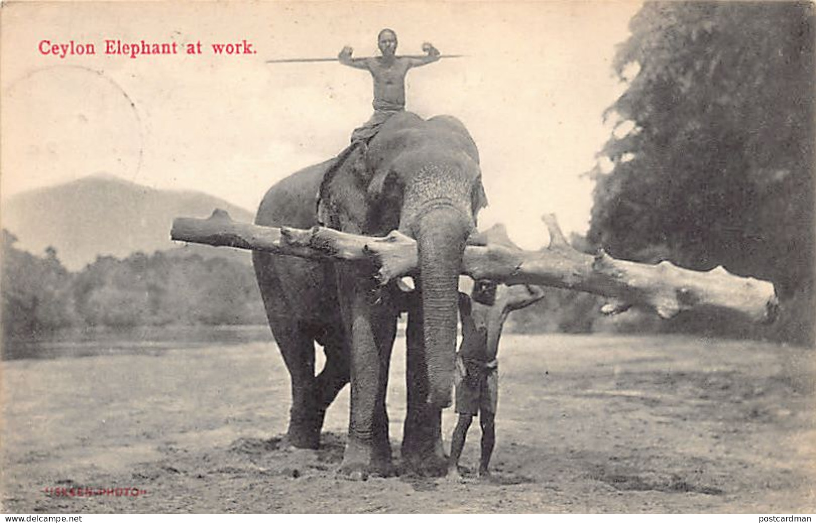 Sri Lanka - Ceylon Elephants At Work - Publ. Skeen-Photo  - Sri Lanka (Ceylon)