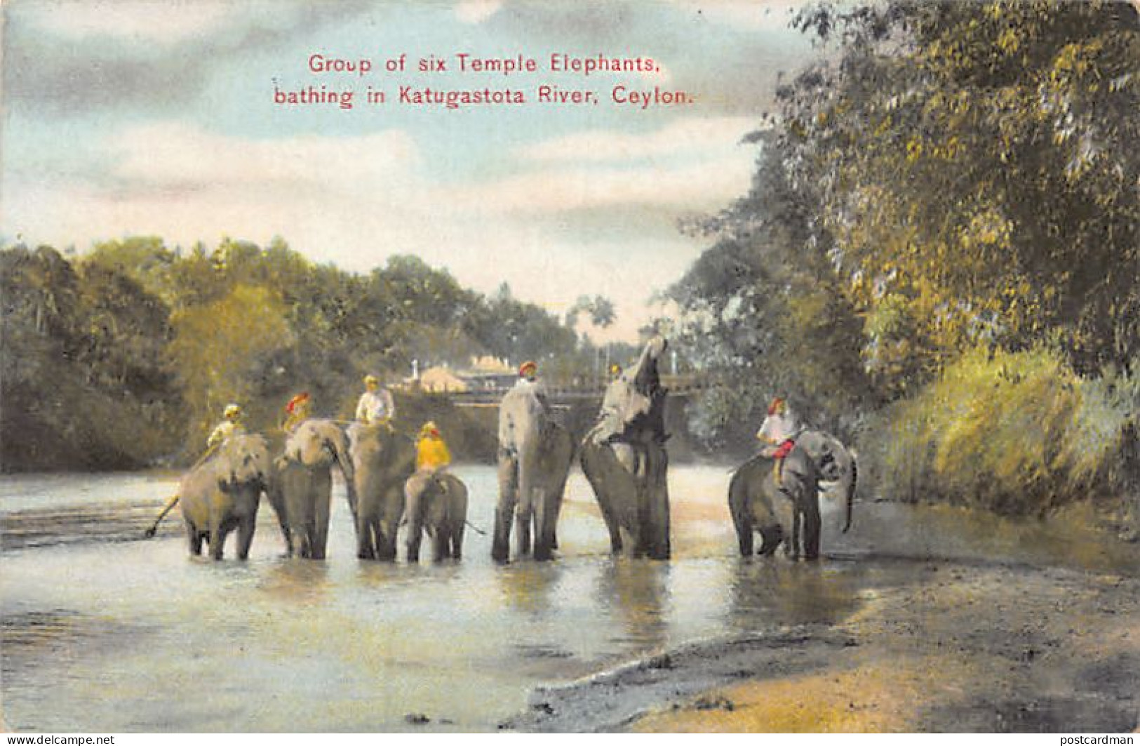Sri Lanka - Group Of Six Temple Elephants Bathing In Katugastota River - Publ. Plâté Ltd. 37 - Sri Lanka (Ceylon)