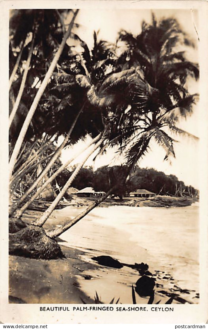 Sri Lanka - Beautiful Palm-fringed Sea-shore - Publ. The Amateur Photographic Co. 33 - Sri Lanka (Ceylon)